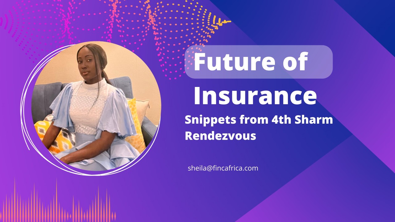 Future of Insurance Sheila Wristberg